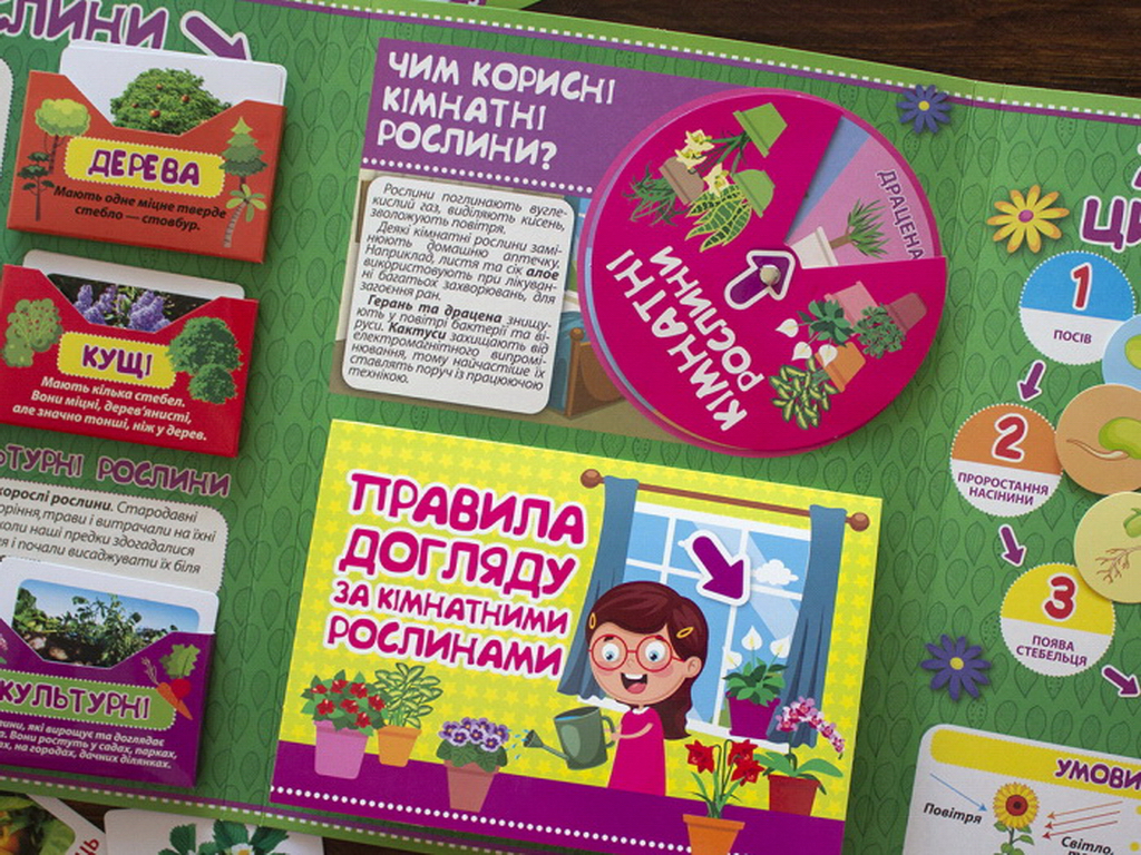 Міні-лепбук “Рослини”, НУШ, 1 клас, Ранок