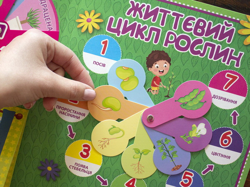 Міні-лепбук “Рослини”, НУШ, 1 клас, Ранок