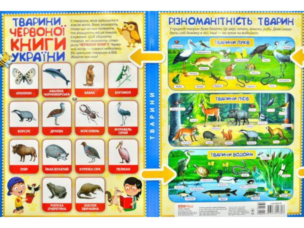 Міні-лепбук “Тварини”, НУШ, Ранок