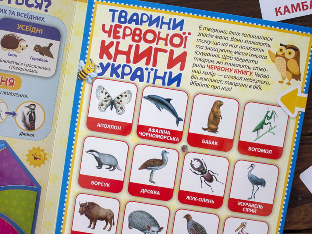 Міні-лепбук “Тварини”, НУШ, Ранок