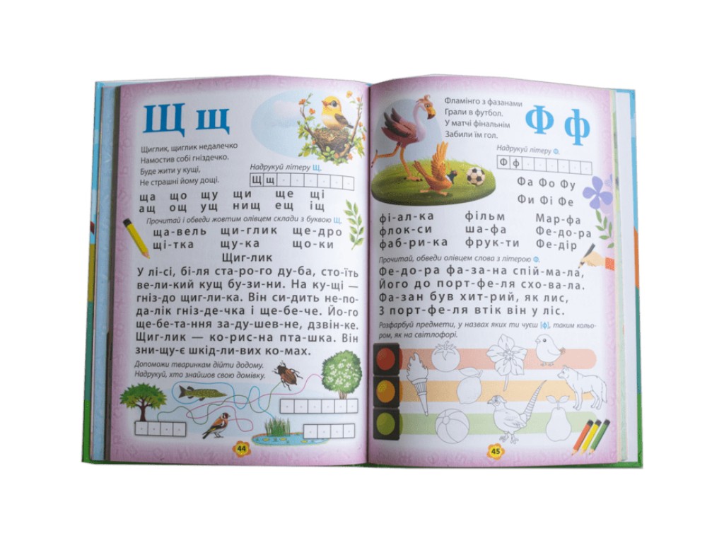 Книга "Буквар", Ласка Карина, Наочні посібники