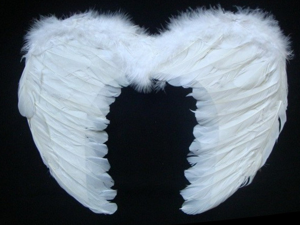Крила ангела з пухом 45x35 см.