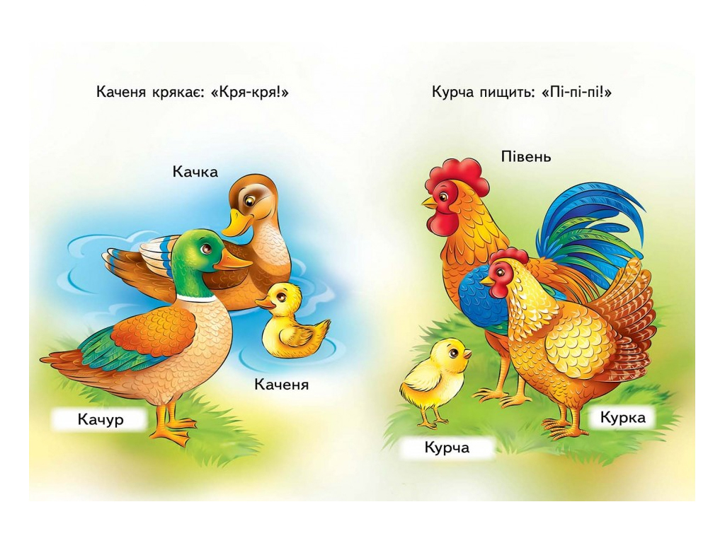 Детская книжка-картонка Развивайка, Мамы,папы, малыши, Пегас