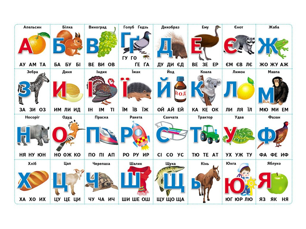 Дитяча книга "Моя перша книга, Перші Знання малюка+англійська", Пегас