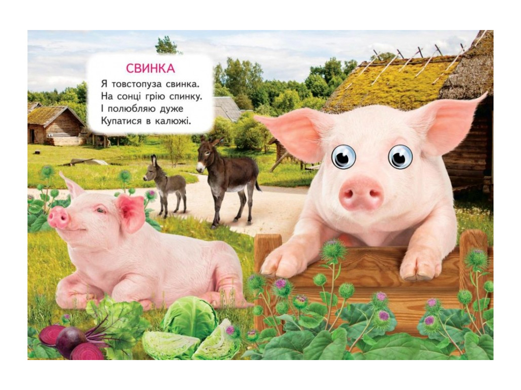 Книга "Ферма", 1+, Пегас