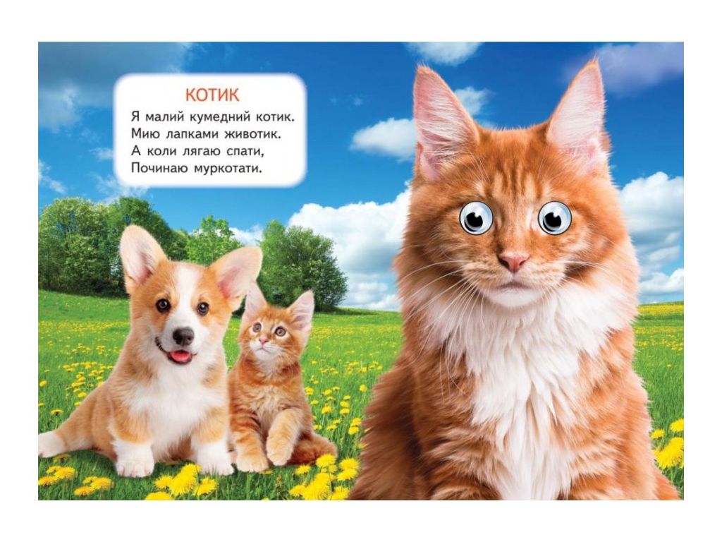 Книжка-картонка Хатні улюбленці, 1-4 роки, Ольга Братчук, Ранок