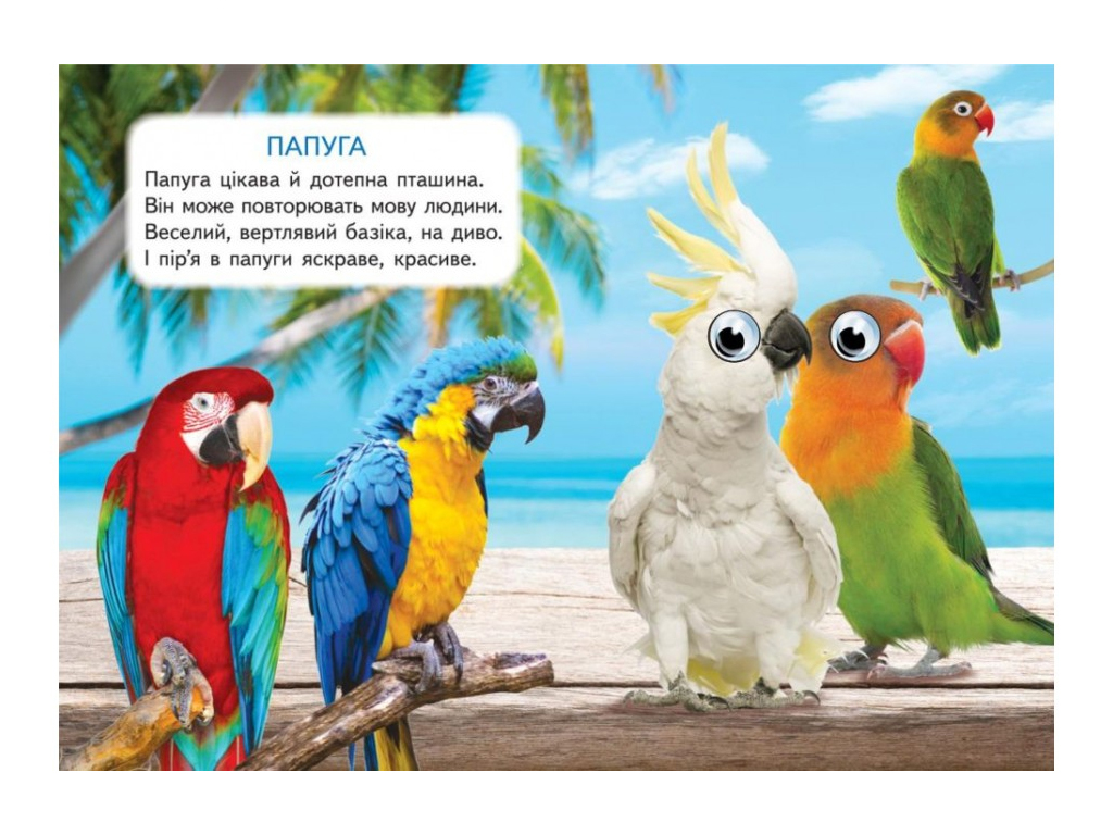 Книжка-картонка Хатні улюбленці, 1-4 роки, Ольга Братчук, Ранок