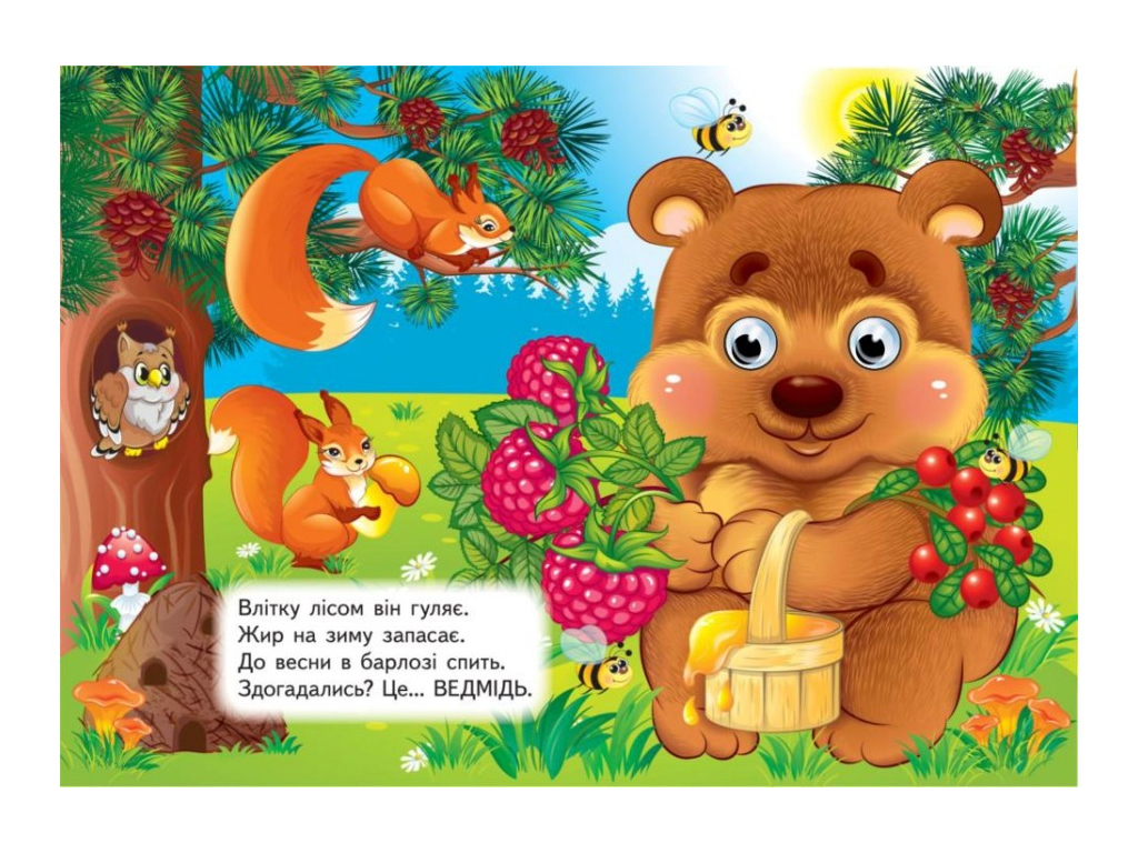 Книга "Животные Загадки", картон, 1+, Пегас