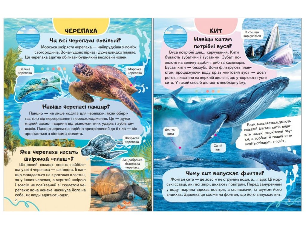 Детская энциклопедия Животные водного мира. От медуз до китов», Пегас