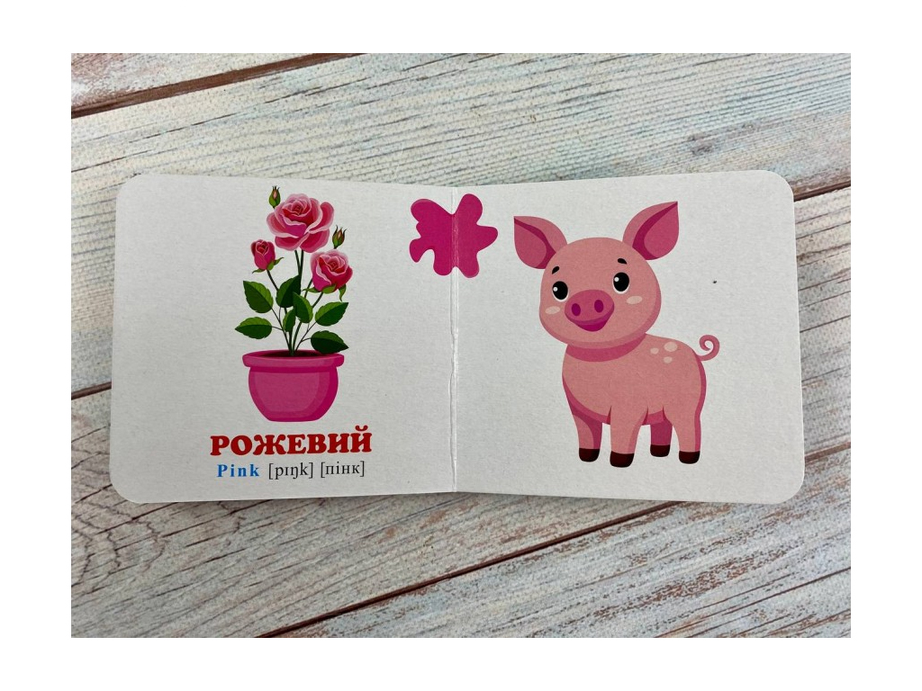 Детская книжка-картонка Окружающий мир, Кольори, Пегас