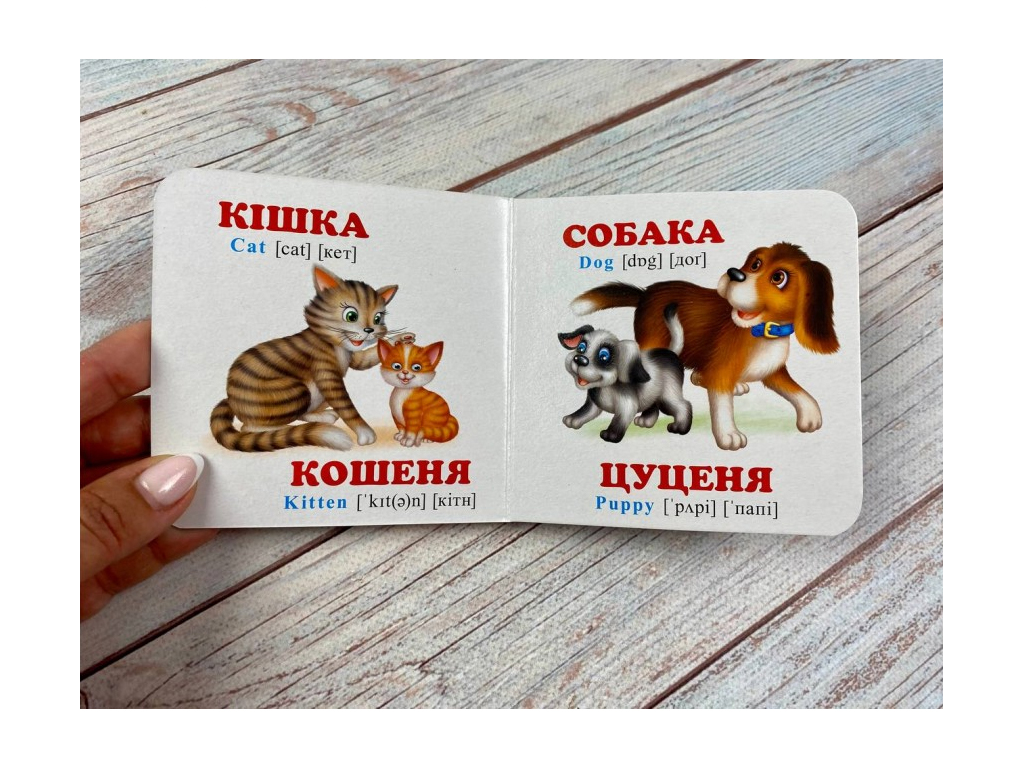 Книга-картонка "Мамы, папы, малыши + английские слова", 1-3 года, Пегас