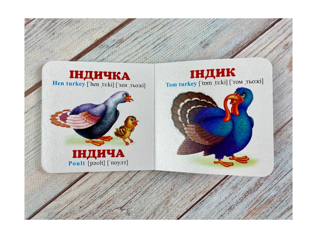 Книга-картонка "Мамы, папы, малыши + английские слова", 1-3 года, Пегас