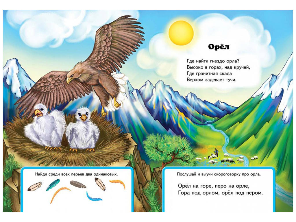 Стихотворение про орлов. Загадка про орла. Стих про орла для детей. Загадка про орла для детей. Загадки про Орлов.