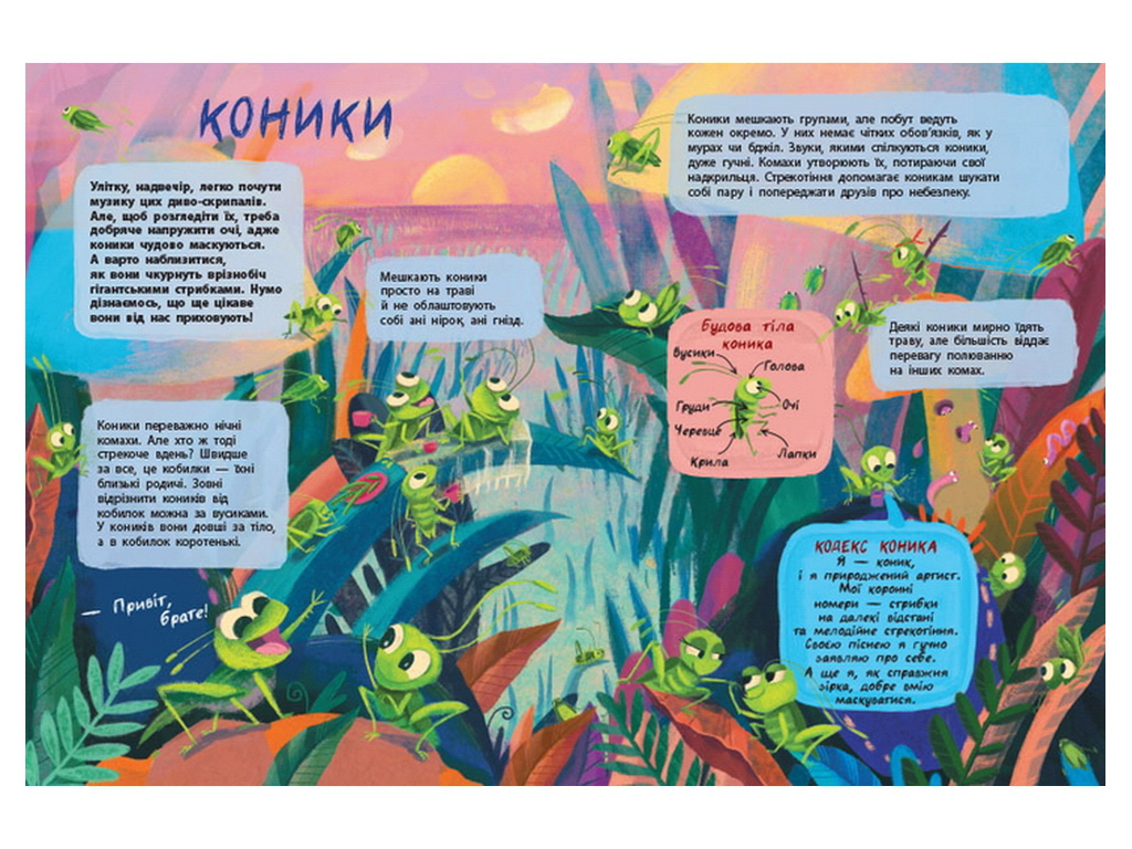Книга "Тайная жизнь насекомых", цветные иллюстрации, 4-9 г., Активное развитие талантов