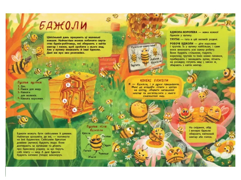 Книга "Тайная жизнь насекомых", цветные иллюстрации, 4-9 г., Активное развитие талантов