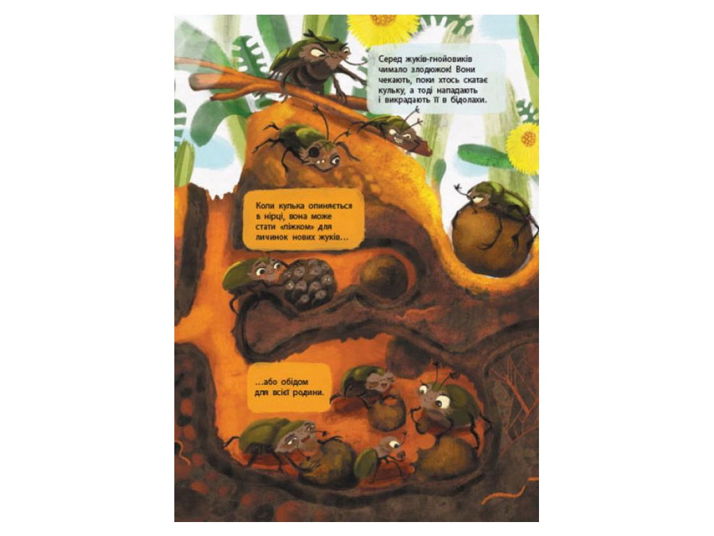 Книга "Тайная жизнь насекомых", цветные иллюстрации, 4-9 г., Активное развитие талантов