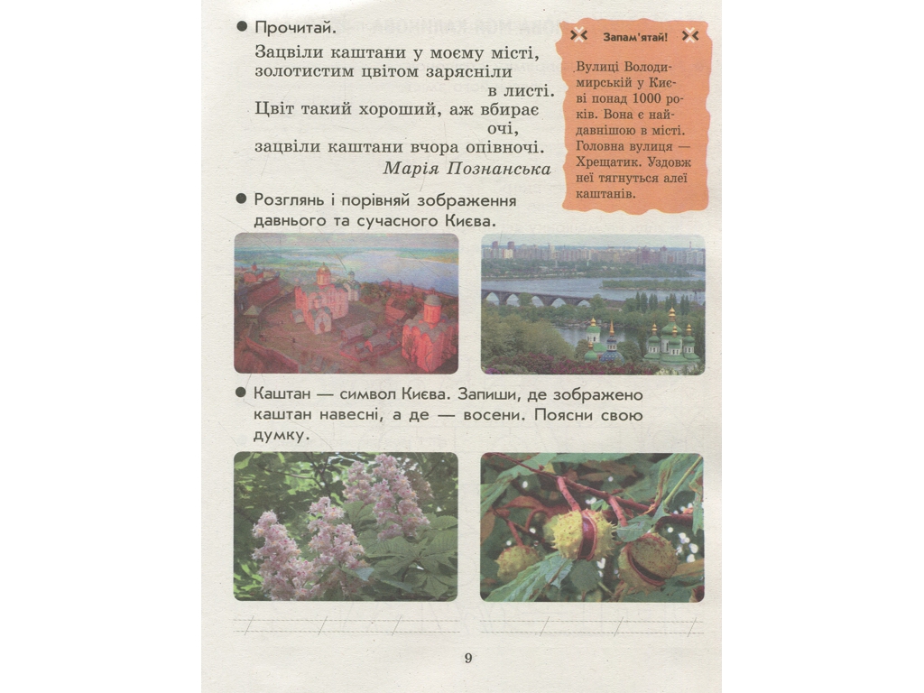 Зошит "Ми – українці", 1 клас, І. Гусельникова, Н. Печериця, Ранок