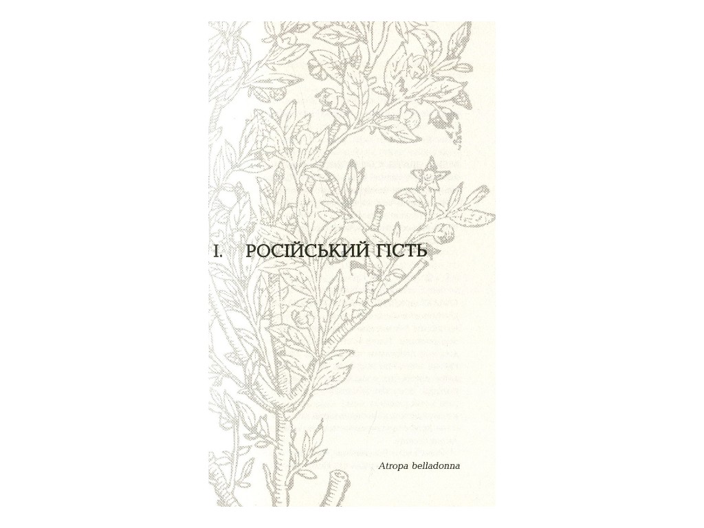 Роман "Царская карлица", Питер Х. Фогтдаль, Фабула