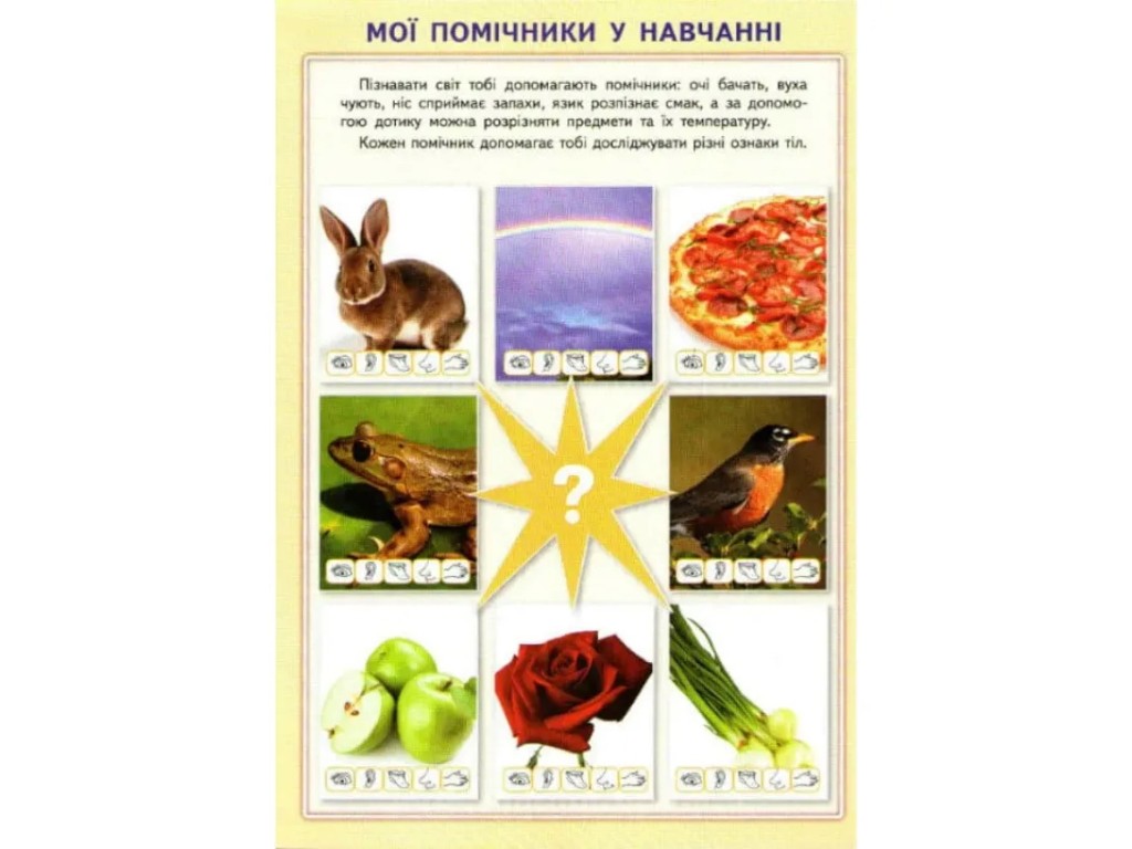 Атлас "Я исследую мир", 1 класс, НУШ, творческие задания, Ранок