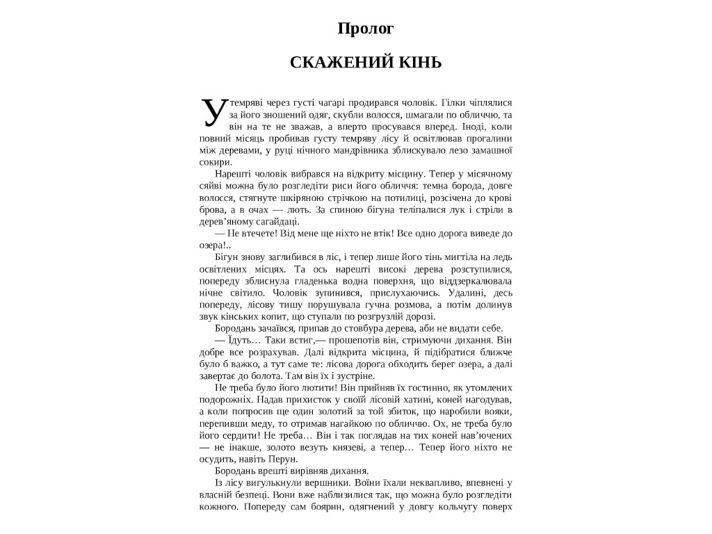 Современная проза Украины, Янтарь, Фабула