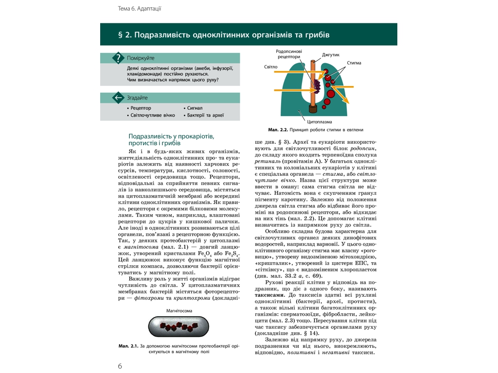 Біологія і екологія. Підручник 11 клас. Профільний рівень, К. Задорожний, Д. Леонтьєв, О. Утєвська,