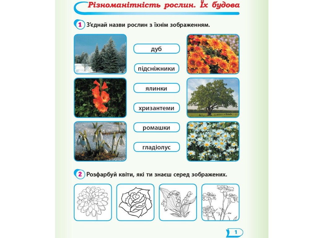 Рабочая тетрадь "Я исследую мир", 1 класс НУШ часть 2, А. Назаренко, Ранок