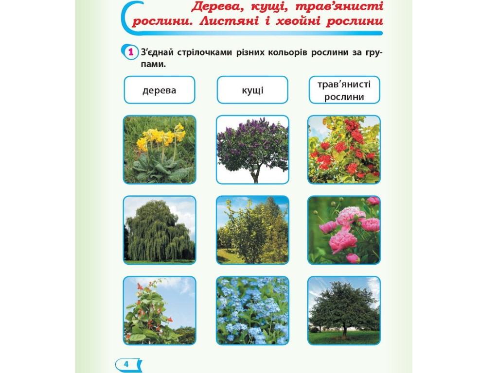 Рабочая тетрадь "Я исследую мир", 1 класс НУШ часть 2, А. Назаренко, Ранок