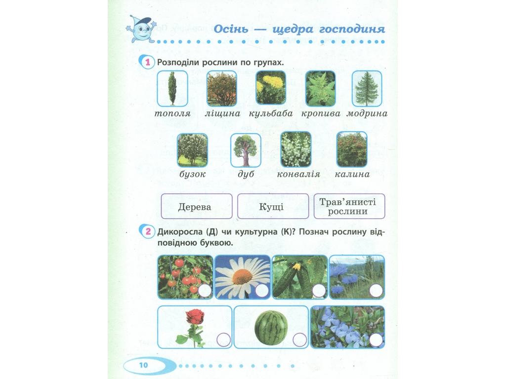 НУШ 2 кл, Я досліджую світ, Робочий зошит Ч,1, Ранок