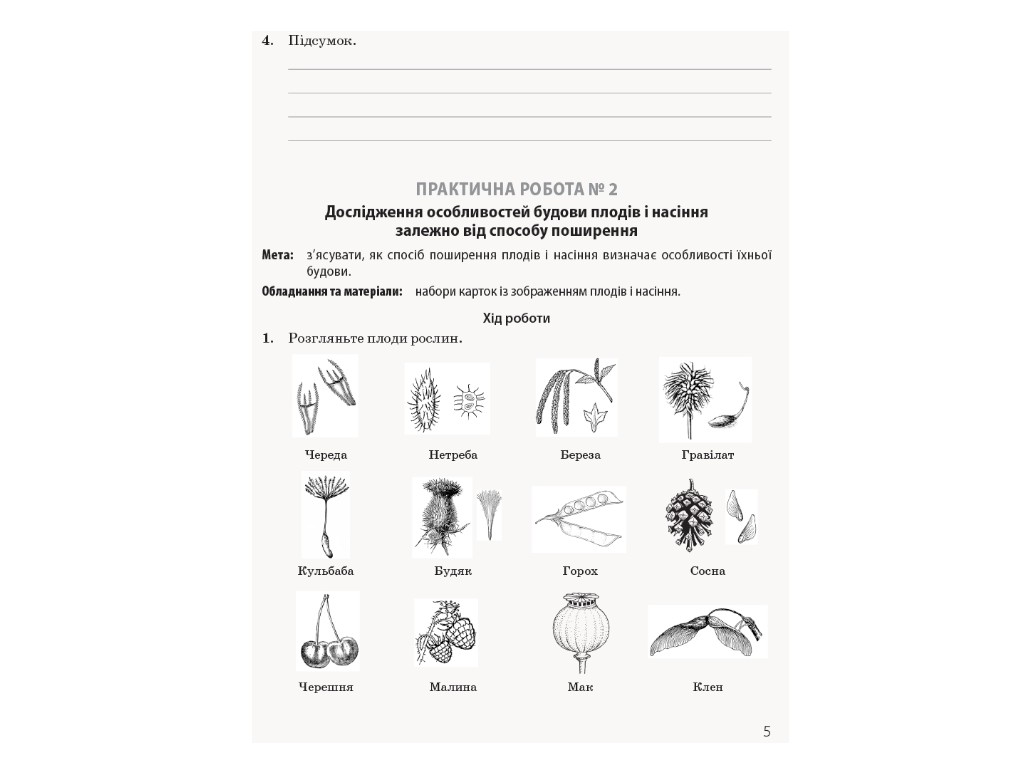 Зошит "Біологія і екологія. 11 клас. Профільний рівень", К. Задорожний, Ранок