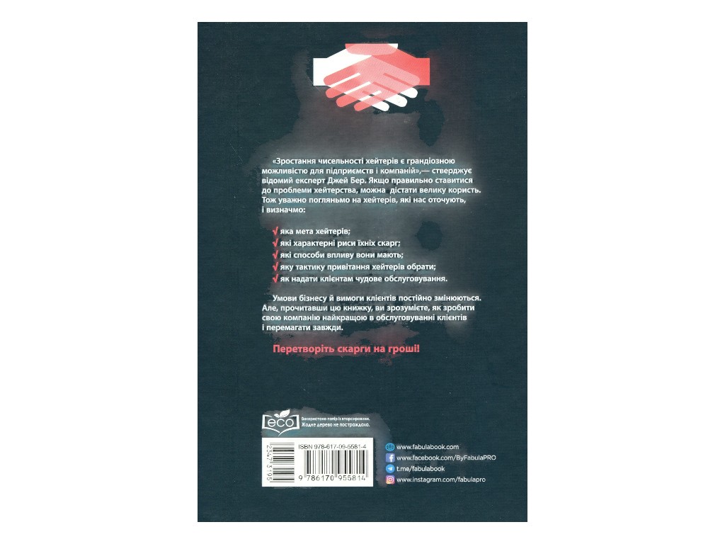 Бізнес-книга "Привітайте своїх хейтерів", Джей Бер, Фабула