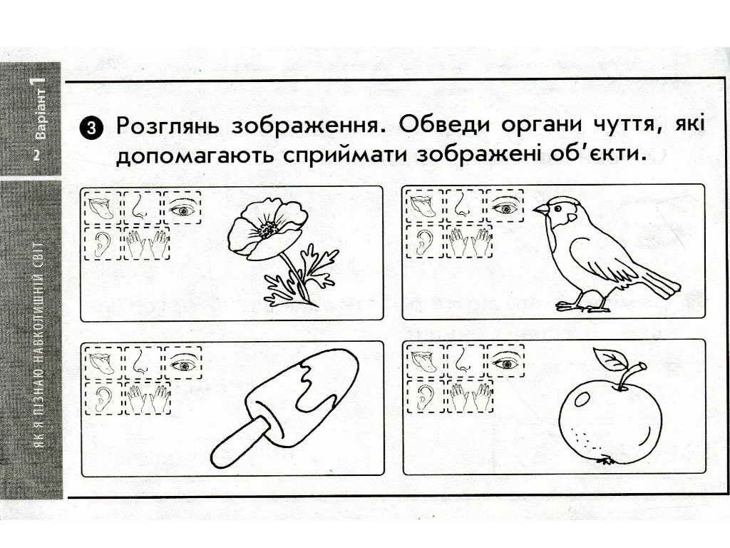 НУШ ДИДАКТА Я досліджую світ. 1 клас. Відривні картки до підручника Т. Гільберг, Ранок