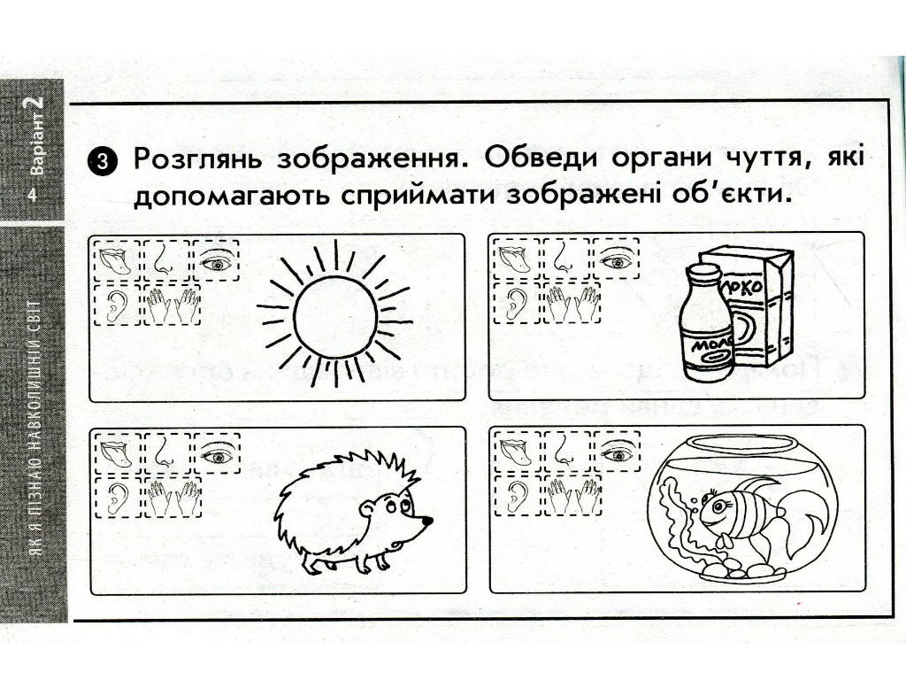 НУШ ДИДАКТА Я досліджую світ. 1 клас. Відривні картки до підручника Т. Гільберг, Ранок