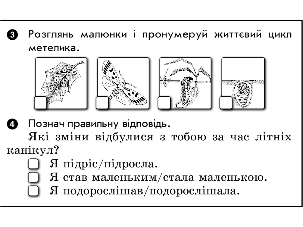 НУШ Я исследую мир. 2 класс. Отрывные карточки к учебнику О. Волощенко, Ранок