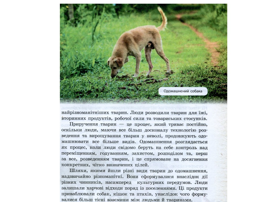 Школьная библиотека, Животные вокруг нас, Пособие к 7 кл, Ранок