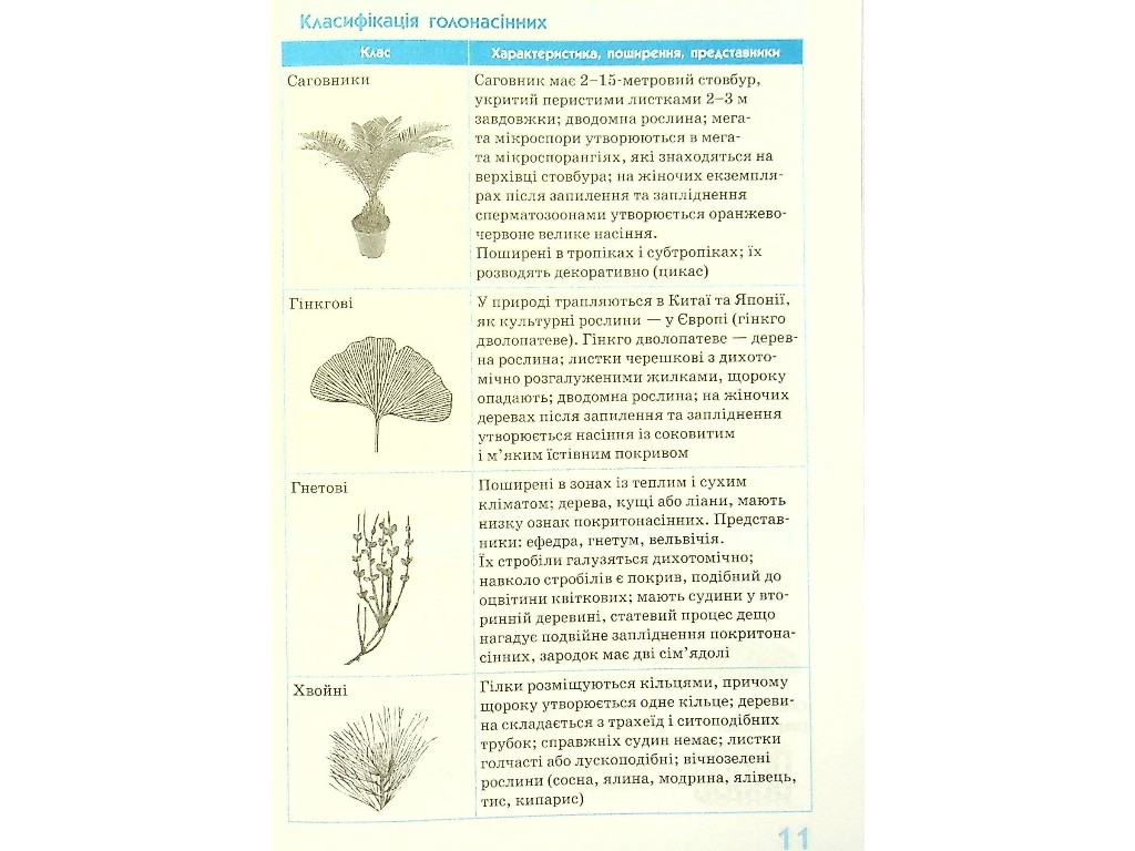 Спасатель "Биология в определениях таблицах и схемах", 6-11 классы, О. А. Зайцева, Ранок