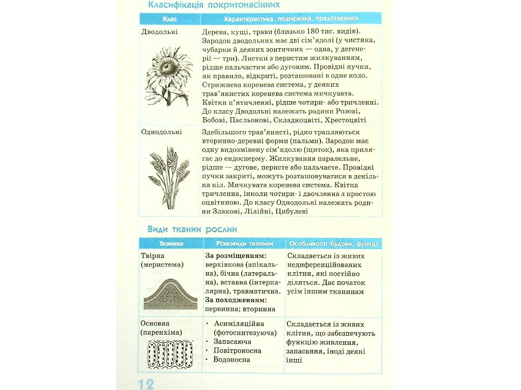 Спасатель "Биология в определениях таблицах и схемах", 6-11 классы, О. А. Зайцева, Ранок