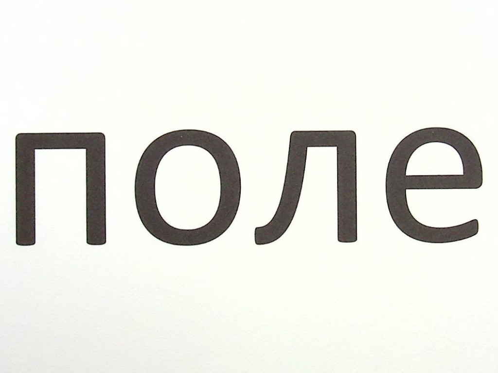 Зорові диктанти з української мови, 1 клас, Л. Шевчук, серія Зорові диктанти, Літера ЛТД
