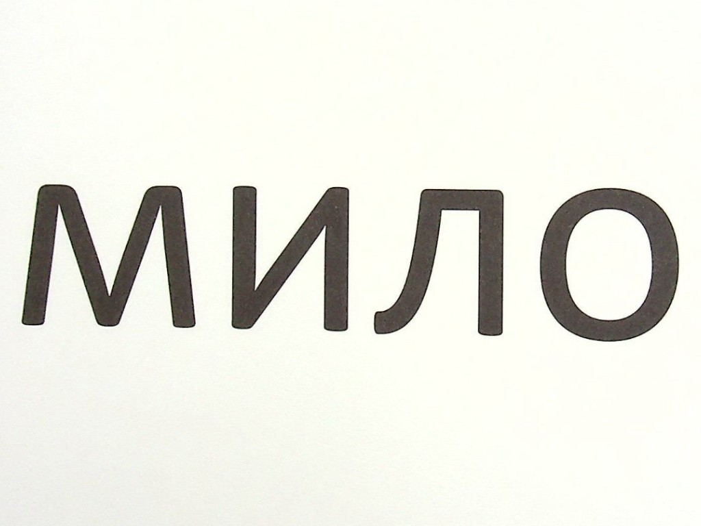 Зорові диктанти з української мови, 1 клас, Л. Шевчук, серія Зорові диктанти, Літера ЛТД