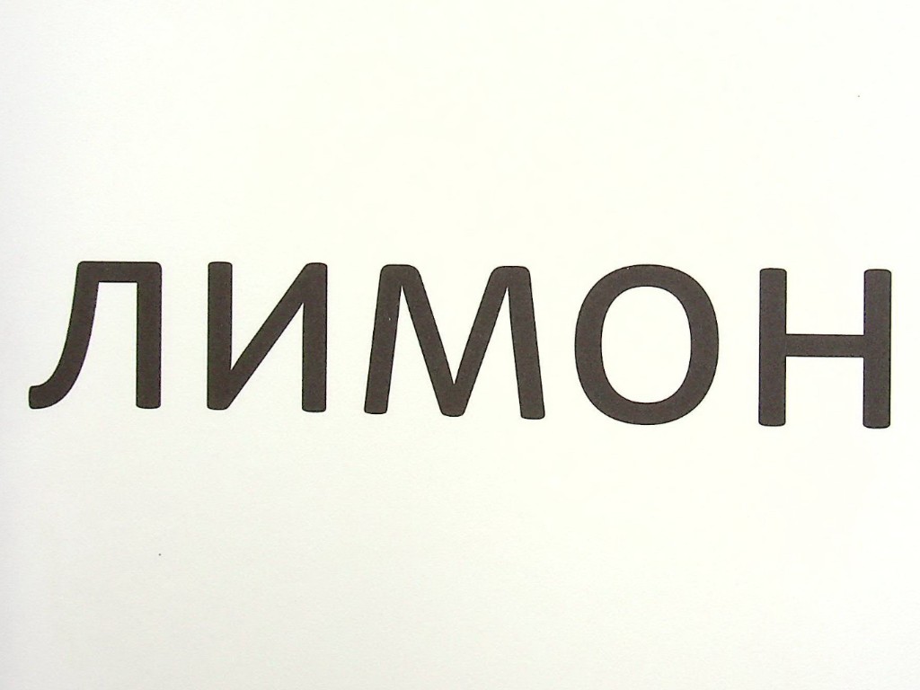 Зорові диктанти з української мови, 1 клас, Л. Шевчук, серія Зорові диктанти, Літера ЛТД