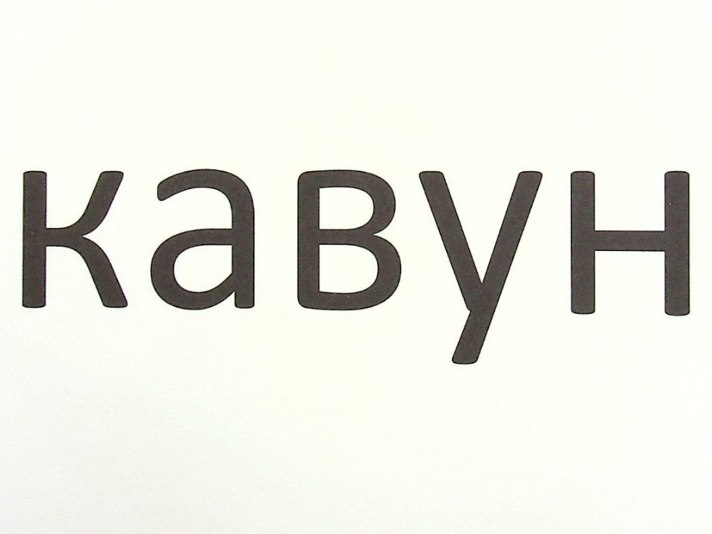 Зорові диктанти з української мови, 1 клас, Л. Шевчук, серія Зорові диктанти, Літера ЛТД