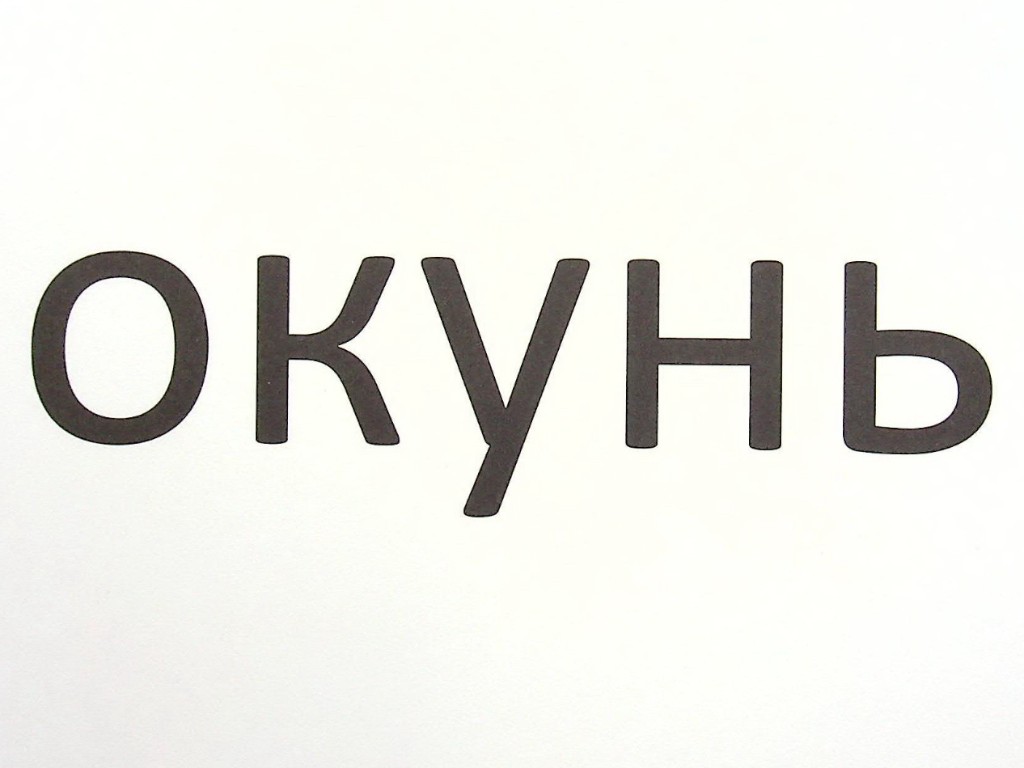 Зорові диктанти з української мови, 1 клас, Л. Шевчук, серія Зорові диктанти, Літера ЛТД