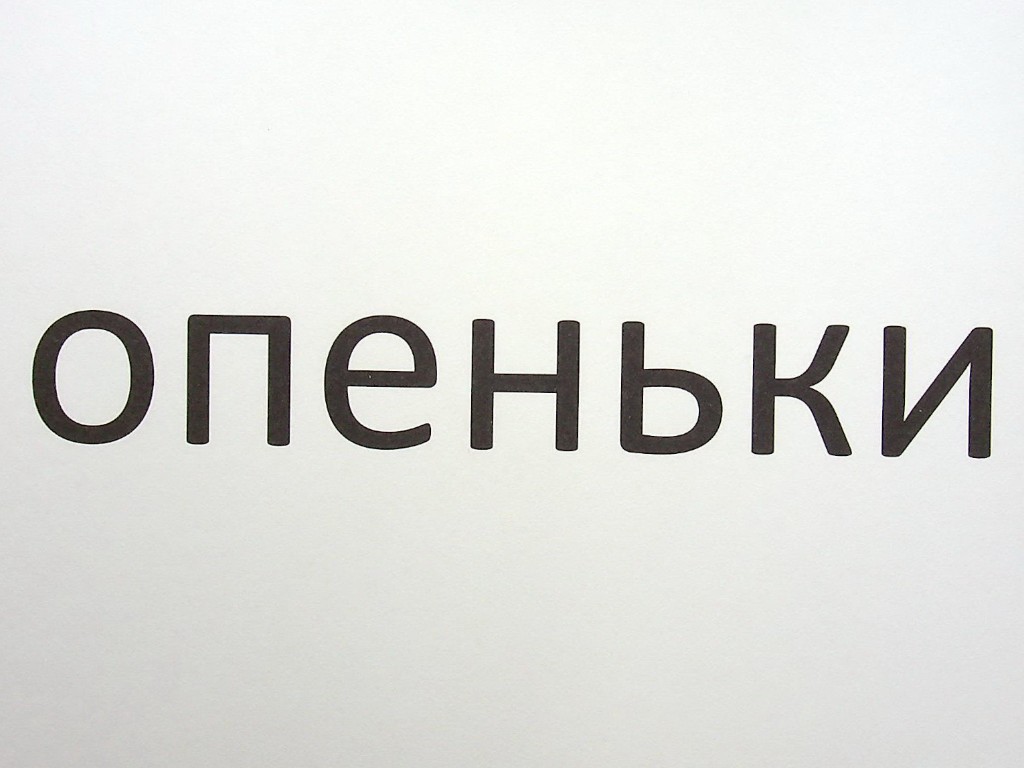 Зорові диктанти "З української мови", 3 клас, Л. Шевчук, Літера ЛТД