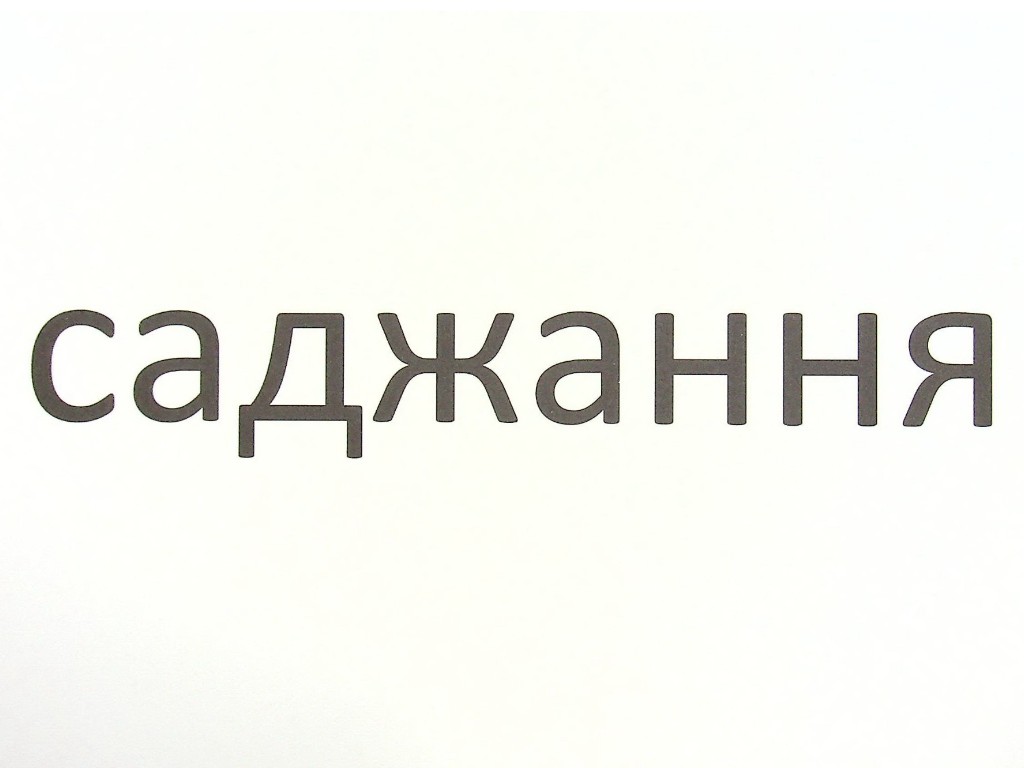 Зорові диктанти "Українська мова 4 клас", Л. Шевчук, Літера ЛТД