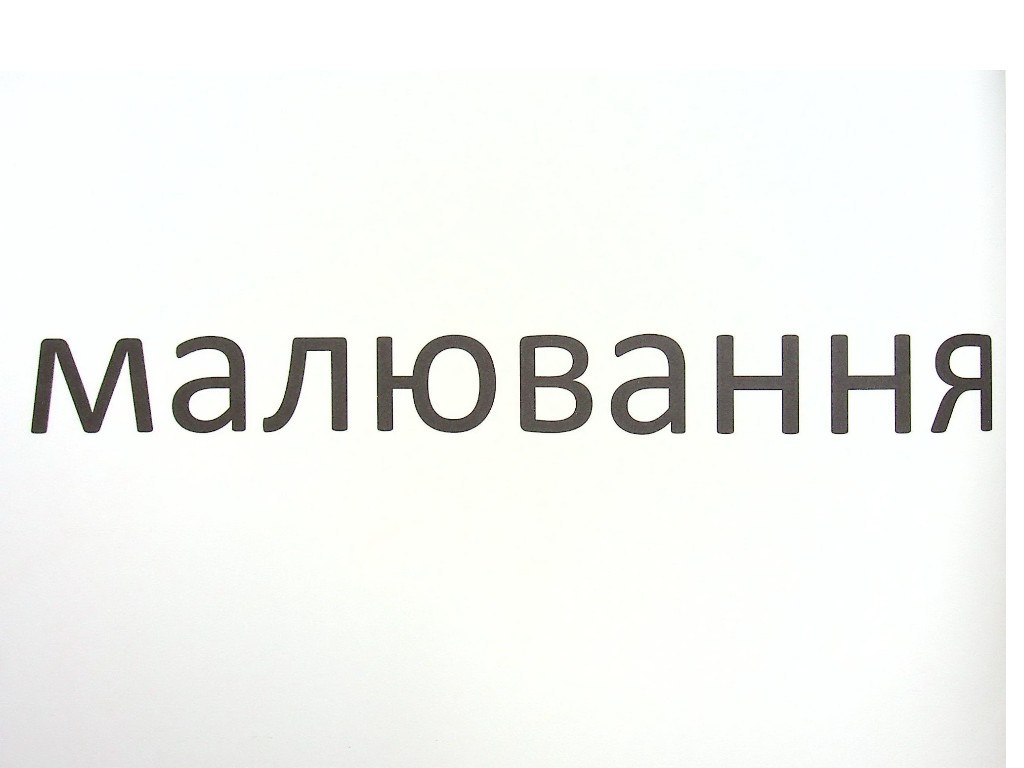 Зорові диктанти "Українська мова 4 клас", Л. Шевчук, Літера ЛТД
