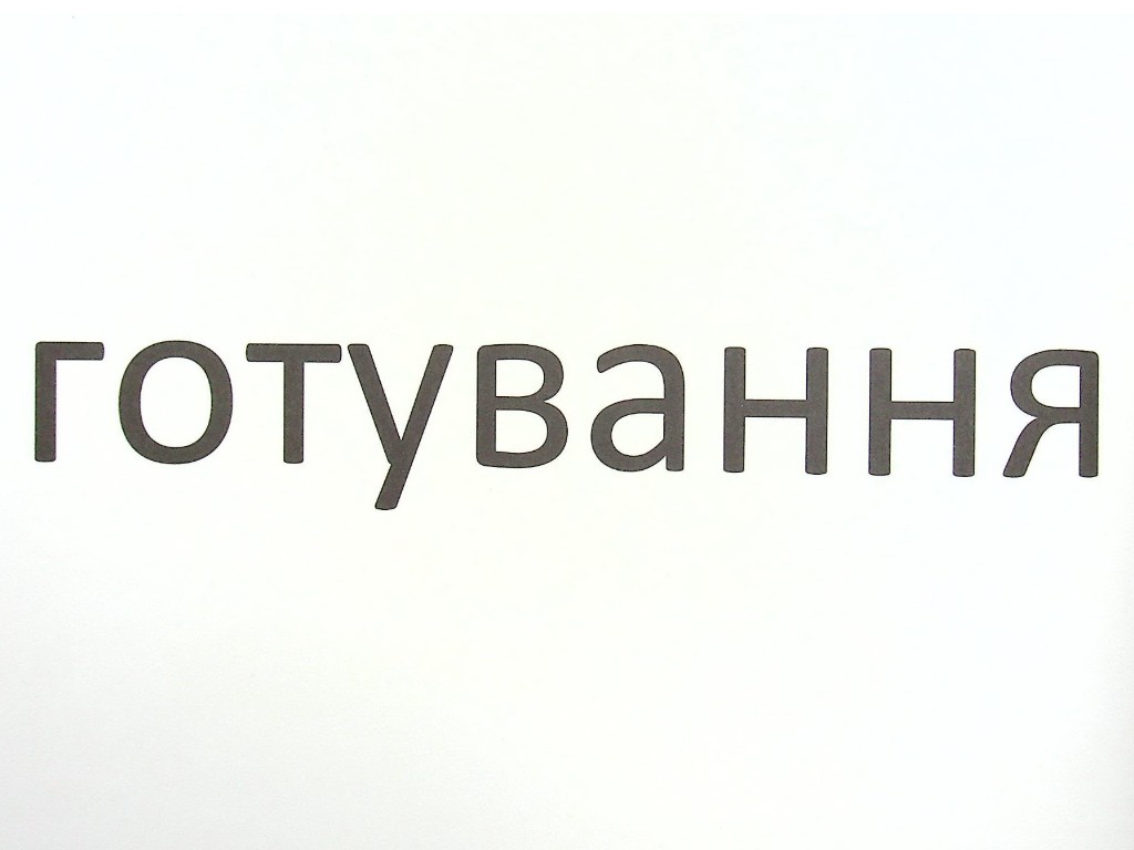 Зорові диктанти "Українська мова 4 клас", Л. Шевчук, Літера ЛТД