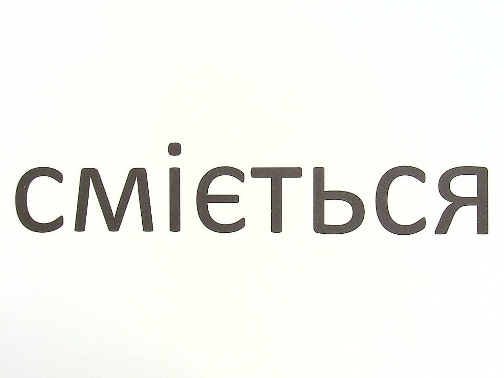 Зорові диктанти "Українська мова 4 клас", Л. Шевчук, Літера ЛТД