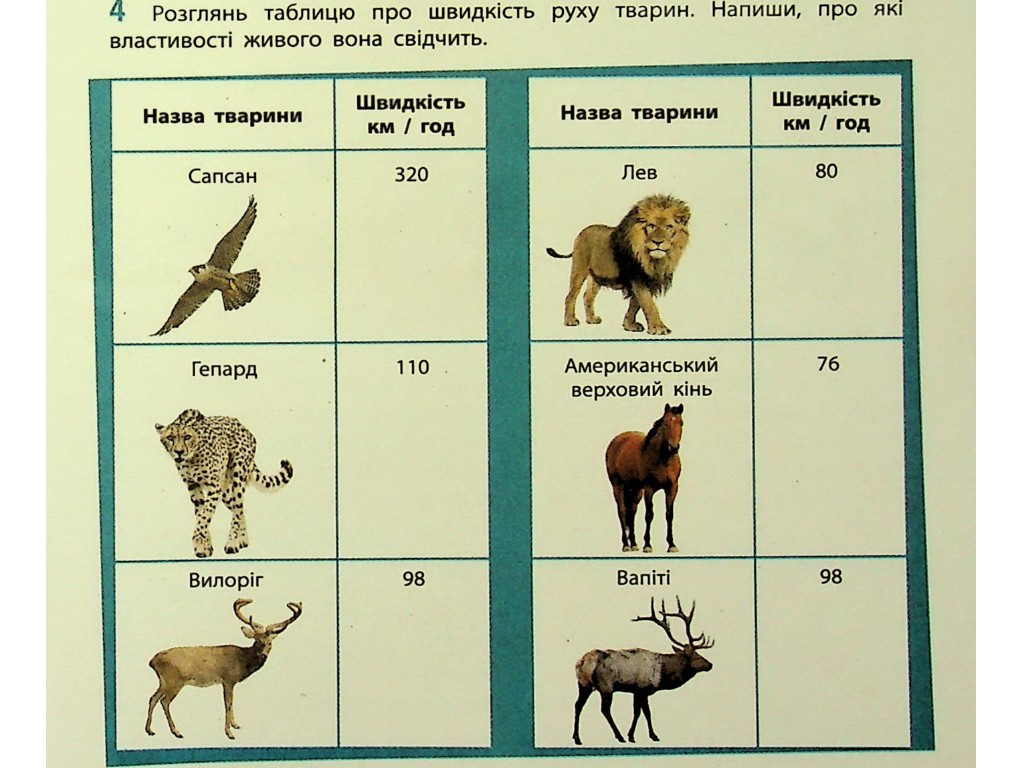 Робочий зошит "Біологія" НУШ, 7 клас, О. Тагліна, А. Самойлов, Ранок