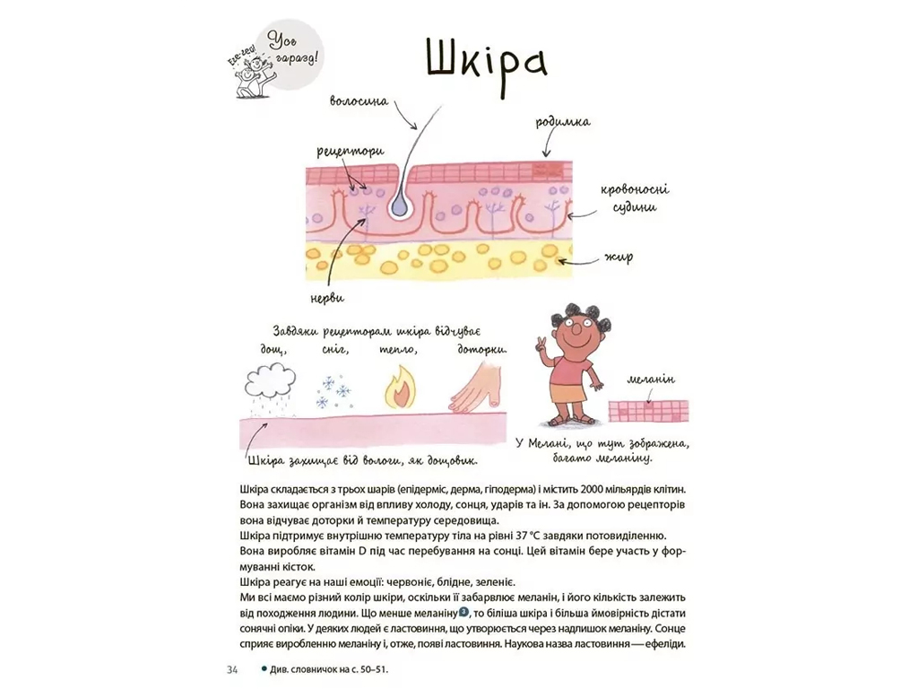Книга «Как устроено мое тело», для детей 4+, Мишель Симс, 4MAMAS
