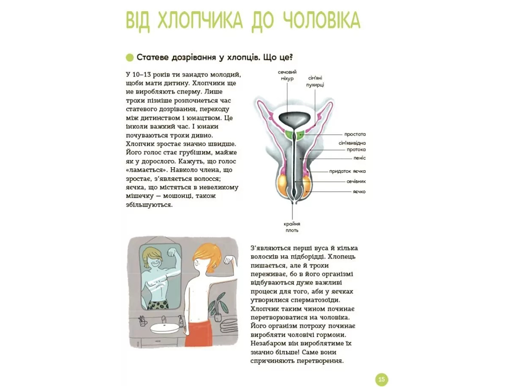 Энциклопедия «Половой жизни 10–13 лет», познавательная книга, Ж. Кан-Натан, Ж. Коэн, Основа