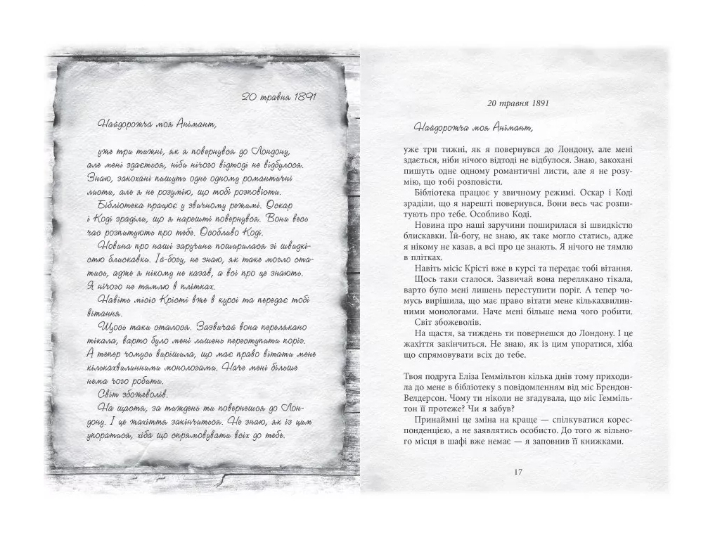 Роман "Мир Анимант. Рассказ о Книжных хрониках", 16+, Линь Рина, Фабула